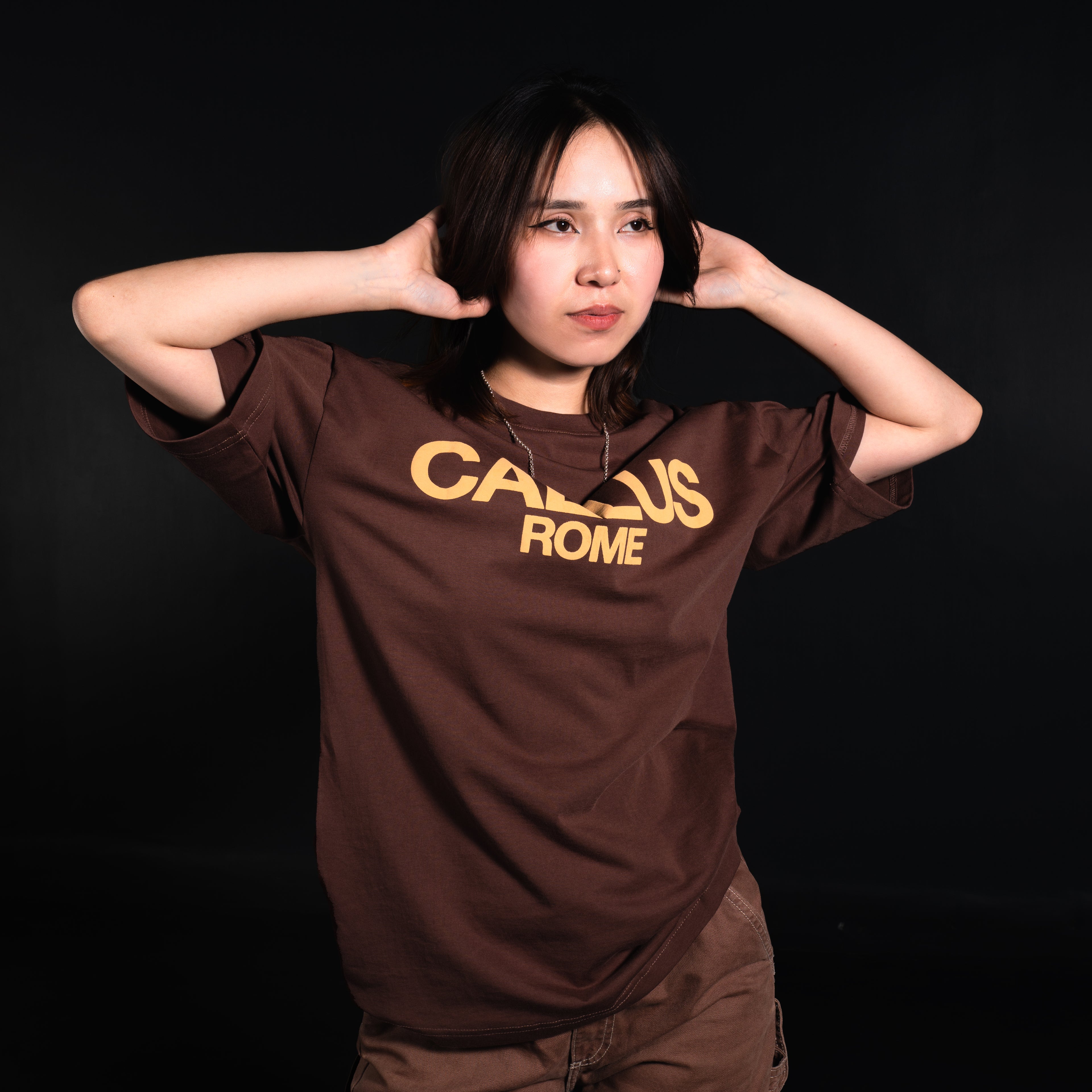 PEGASUS BROWN T-SHIRT