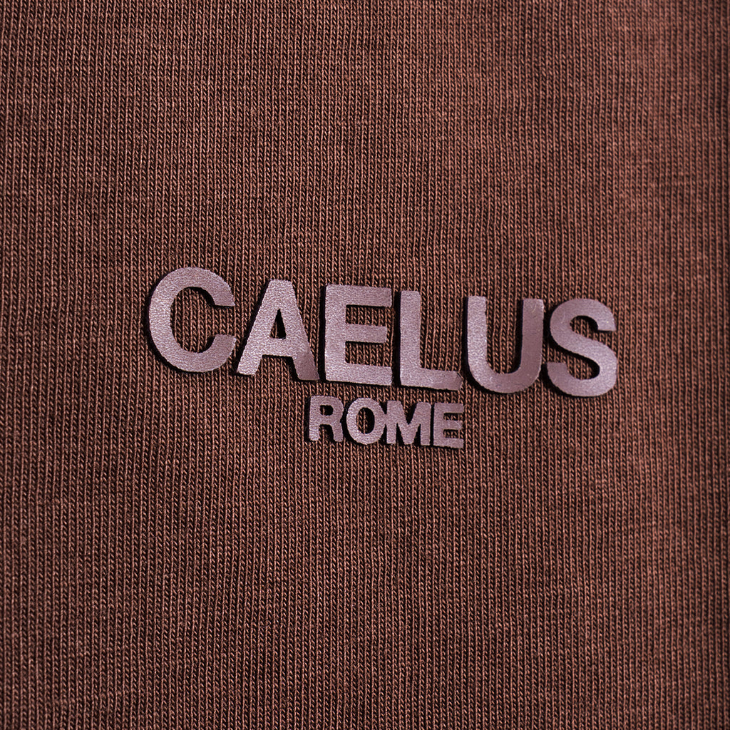 CLASSIC FIT BROWN POLO SHIRT