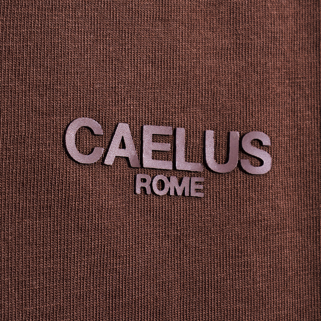 CLASSIC FIT BROWN POLO SHIRT