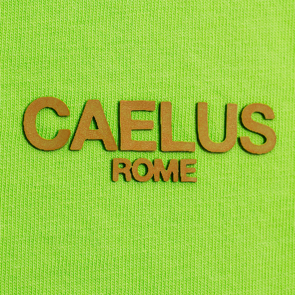 CLASSIC FIT PARROT GREEN POLO SHIRT